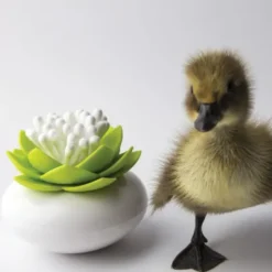 Behälter für Wattestäbchen - Lotus Cotton Bud, grün