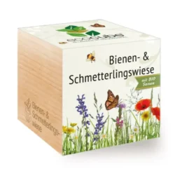 Bienen- und Schmetterlingswiese ecocube, Pflanze im Holzwürfel