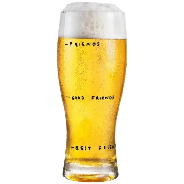 Bierglas - Glass of Friendship mit lustiger Skala, 0,5 l