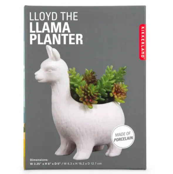 Blumentopf LLOYD DAS LAMA