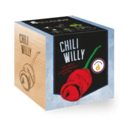 Chili Willy ecocube, Pflanze im Holzwürfel