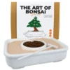 DIY Bonsai Anzuchtset