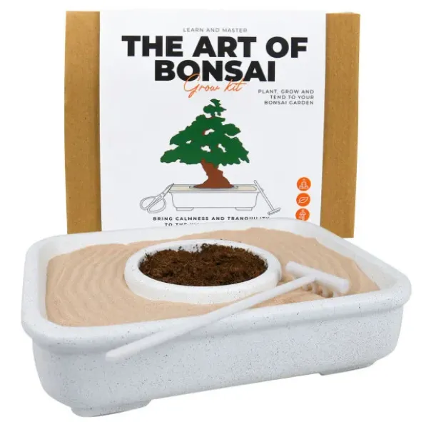 DIY Bonsai Anzuchtset