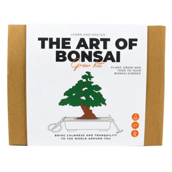 DIY Bonsai Anzuchtset