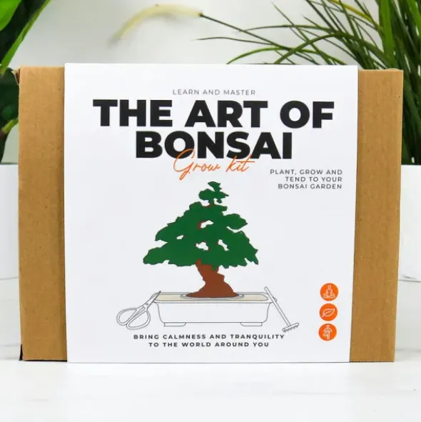 DIY Bonsai Anzuchtset
