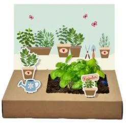 DIY Mini-Garten zum Anzüchten - Küchenkräuter