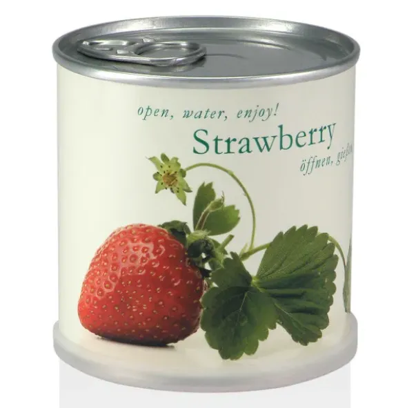 Erdbeeren aus der Dose – Anzuchtset Erdbeerplanze mit Samen & Granulat