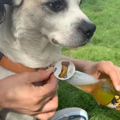 Flaschenöffner mit Karabiner DOG COLLAR KOBE