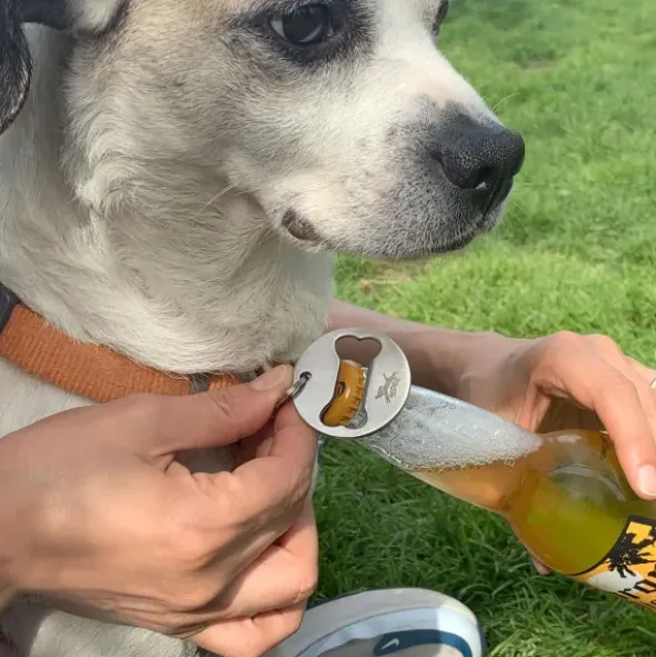Flaschenöffner mit Karabiner DOG COLLAR KOBE