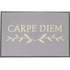 Fußmatte Carpe Diem grau, 75 x 50 cm - waschbar