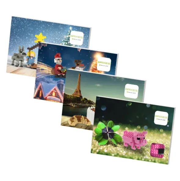 Geschenkkarte Glück mit Brixies Klemmbausatz GLÜCKSSCHWEIN - 189 Bausteine