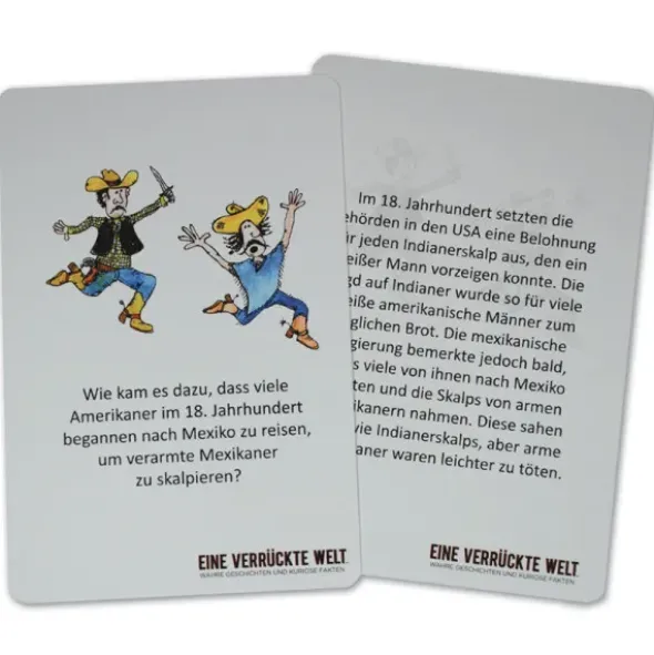Gesellschaftsspiel Eine verrückte Welt - Kartenspiel