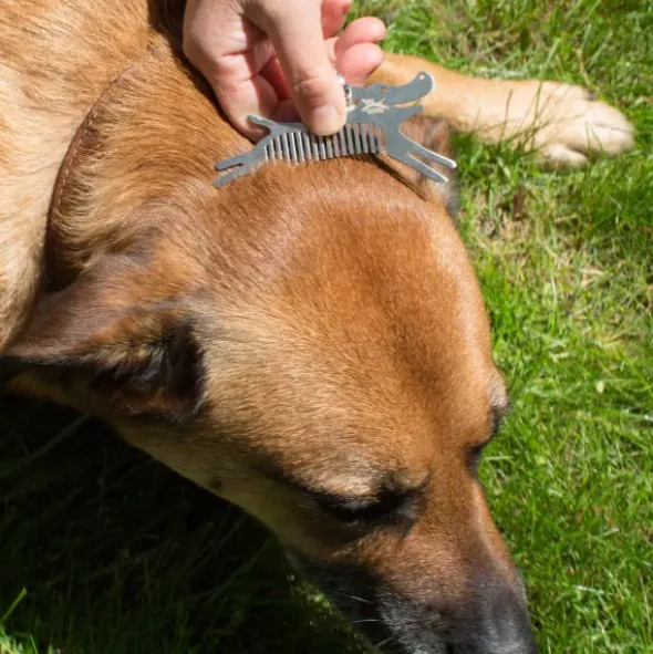 Hundekamm & Zeckenentferner TICK TOOL KOBE