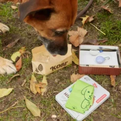 Hunde-Wander-Set KOBE HIKING KIT