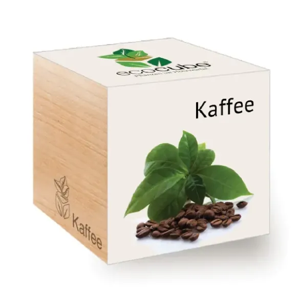 Kaffee ecocube, Pflanze im Holzwürfel
