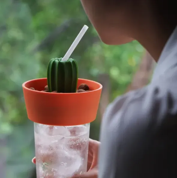 Kaktus Snackschale + Glas Abdeckung CACNUTS weiß-grün