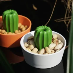 Kaktus Snackschale + Glas Abdeckung CACNUTS orange-grün