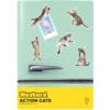 Katzen Magnete 12er-Set