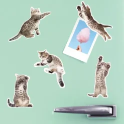 Katzen Magnete 12er-Set