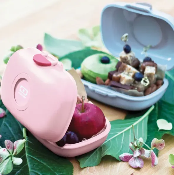 Kinderlunchbox Waschbärmotiv grün 600 ml