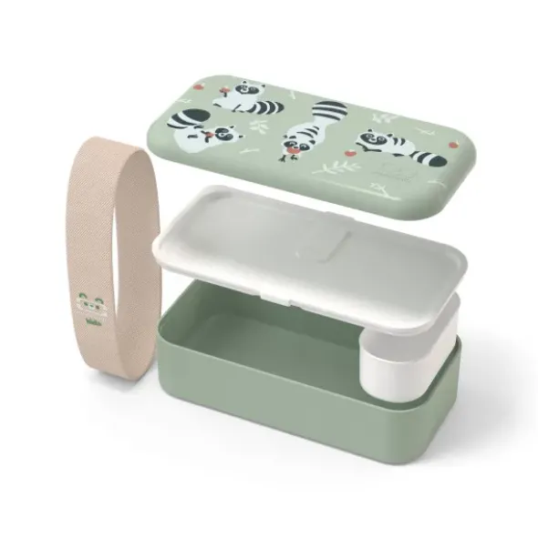Kinder Lunchbox Waschbärmotiv mint 500ml mit Fächern
