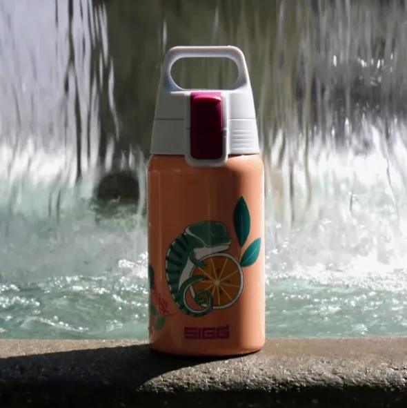 Kindertrinkflasche SHIELD ONE 0,5 l – Edelstahlflasche pastell-orange mit Chamäleon-Motiv