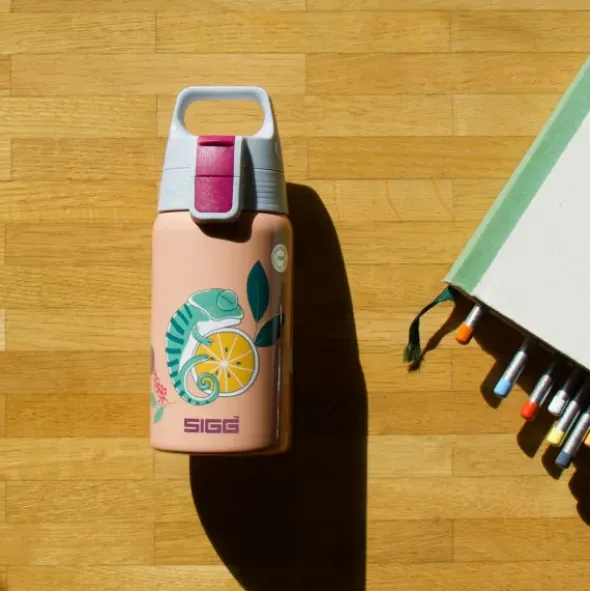 Kindertrinkflasche SHIELD ONE 0,5 l – Edelstahlflasche pastell-orange mit Chamäleon-Motiv