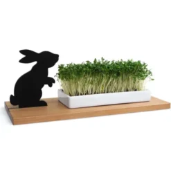 Kresseschale Hase – Porzellanschale auf Holzbrett für Kresse & Microgreens