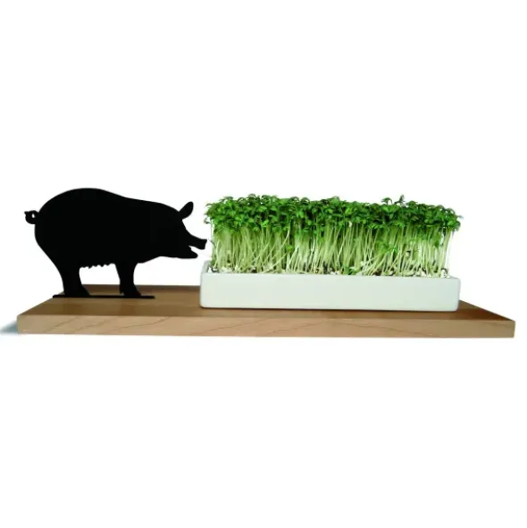 Kresseschale Schwein – Porzellanschale auf Holzbrett für Kresse & Microgreens