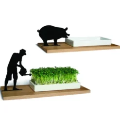 Kresseschale Schwein – Porzellanschale auf Holzbrett für Kresse & Microgreens