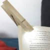 Leselicht / Wäscheklammerlicht aus Holz