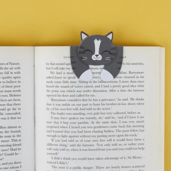 Lesezeichen Katze magnetisch auf Geschenkkarte, grau-getigerte Katze KITTY