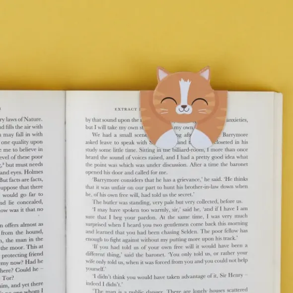Lesezeichen Katze magnetisch auf Geschenkkarte, orange-getigerte Katze TABBY