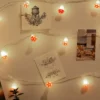 Lichterkette Fliegenpilze 20 LED MUSHROOMS - USB Anschluss