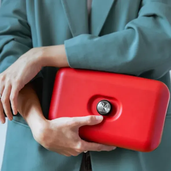 Lunchbox ALL-IN-1 SET - HOT RED (rot)