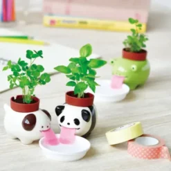 Mini Pflanzset PEROPON FROSCH Keramik, selbstbewässernd