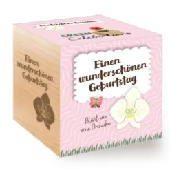 Orchideenbaum im Holzwürfel - Geburtstag, personalisiert