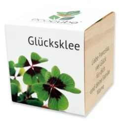 Pflanzwürfel Glücksklee mit persönlicher Gravur