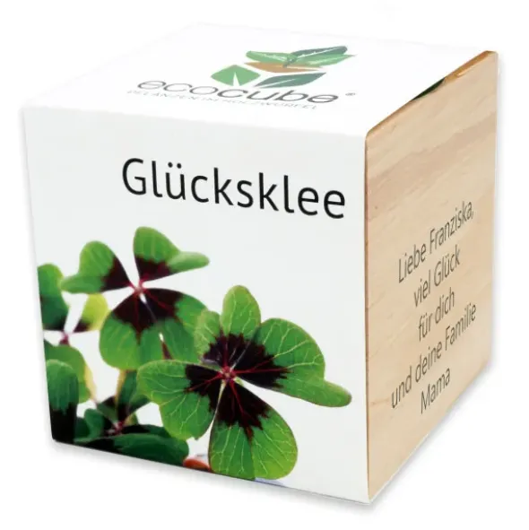 Pflanzwürfel Glücksklee mit persönlicher Gravur
