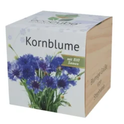Pflanzwürfel Kornblume mit persönlicher Gravur