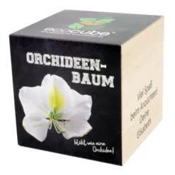 Pflanzwürfel Orchideenbaum mit persönlicher Gravur