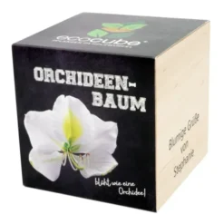 Pflanzwürfel Orchideenbaum mit persönlicher Gravur