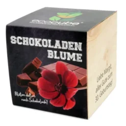 Pflanzwürfel Schokoladenblume mit persönlicher Gravur