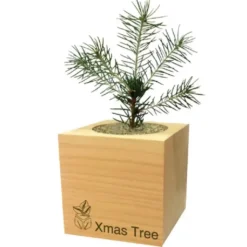 Pflanzwürfel Tannenbaum Schneemann mit persönlicher Gravur