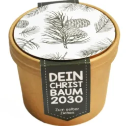 Pott zum Aussäen Tannenbaum - Dein Christbaum 2030