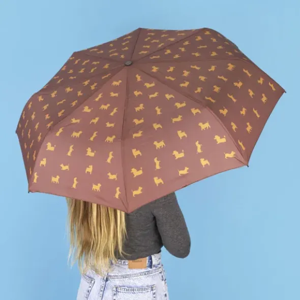 Regenschirm Puppymbrella / Taschenschirm mit Hundehülle