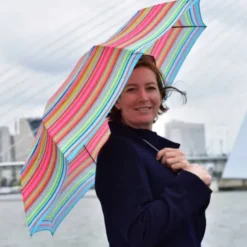 Regenschirm STELLA / Taschenschirm bunt
