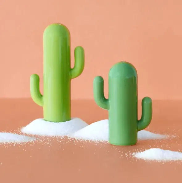 Salz- und Pfefferstreuer Cactus