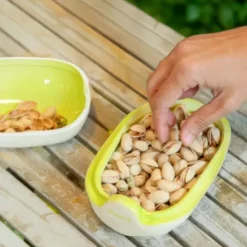 Snackschale Pistazie – Nussschale aus Keramik mit Deckel