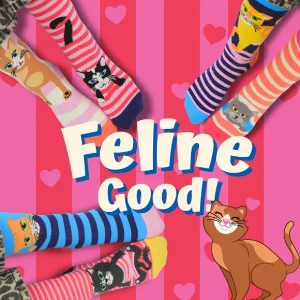 Socken Geschenkbox Feline Good! – 6 einzelne Socken mit Katzenmotiv Gr. 39–46